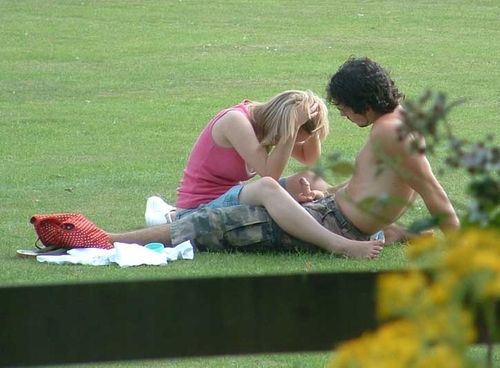 college lawn