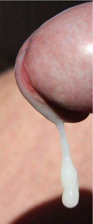 Cock head, cumdrop