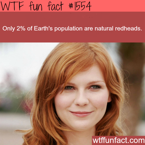 wtf-fun-factss:
How many people are redheads? - WTF fun facts Continue reading →