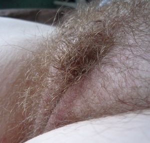 Hairy Pussy