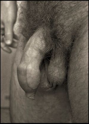 Very Nice Uncut Dick