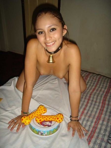 Content little pet
