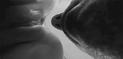 Kiss miss