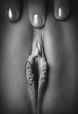 My favourite dessert