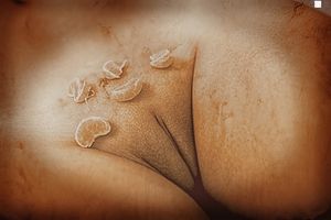 Katya Clover (Explicit)
