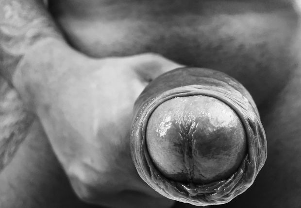 Artsy COCK