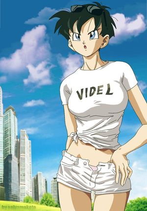 Dragon Ball Videl