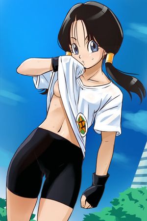Videl Dragon Ball