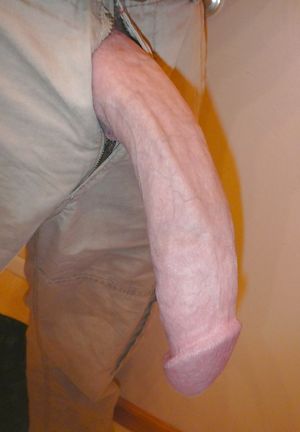 Come Ride My White Horse