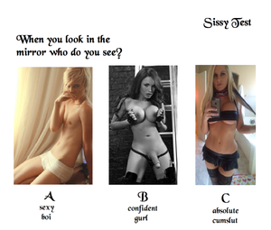 Sissy Test - When you look in the mirror, who do you see?