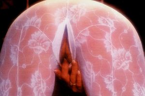 "So Jeromieo I Bought Some New Interesting Pantyhose To wear For You Tonite." Lisa Cooed"How Interesting?" "Lemme Show Ya Sweetie!"