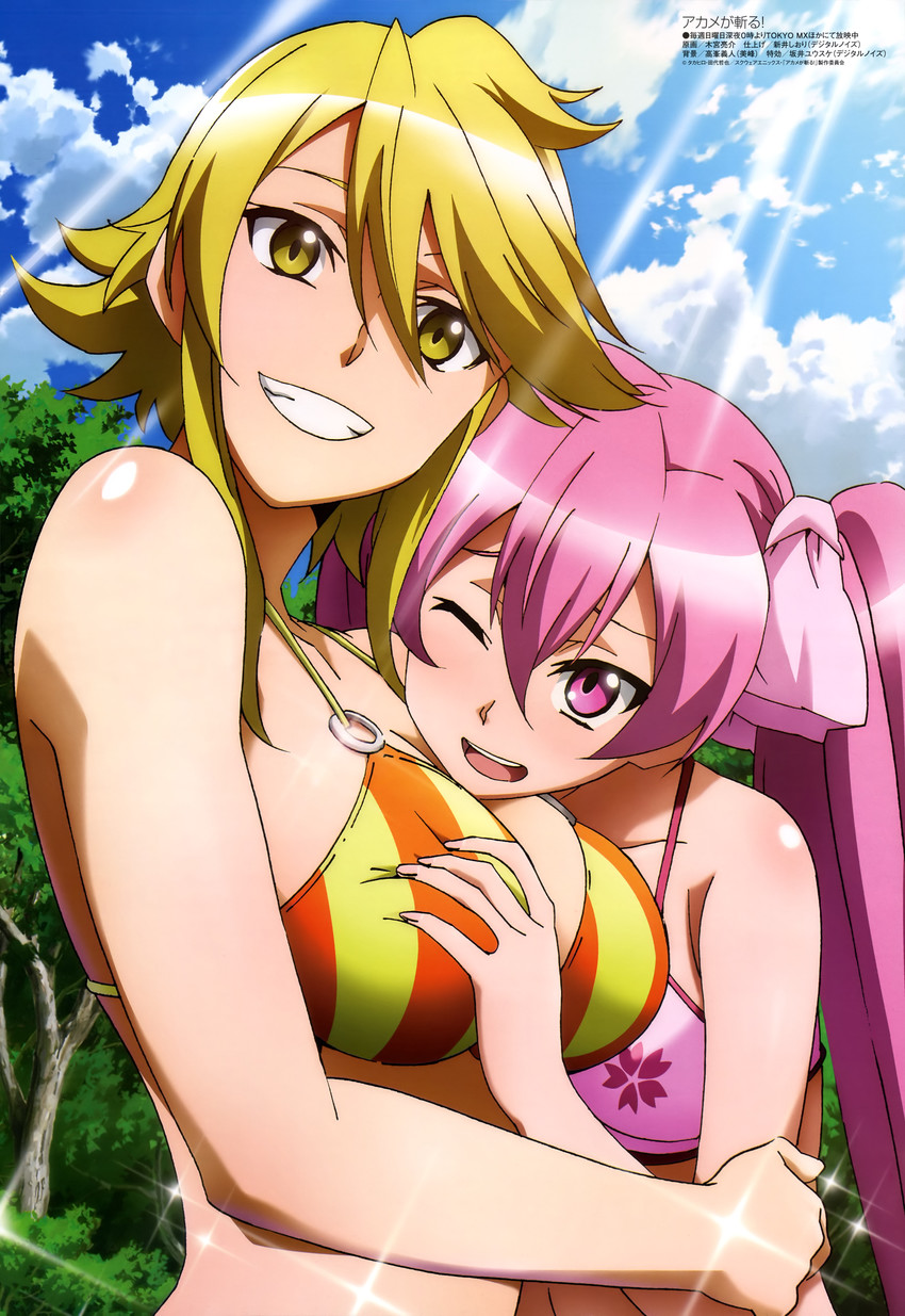 Akame ga Kill