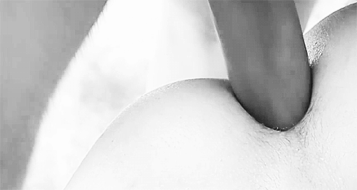 15148154.gif