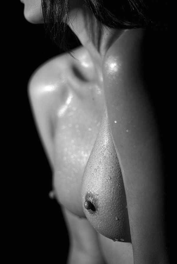great tits