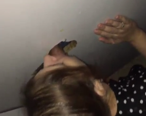 Gloryhole Amateur Video Sucking Dicks