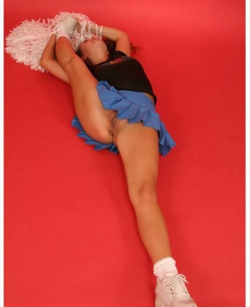 skirt-petite-pfr:
