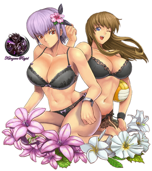 Ayane and Hitomi Render by Kurogane-Raziel