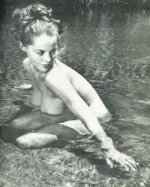 Diane Webber