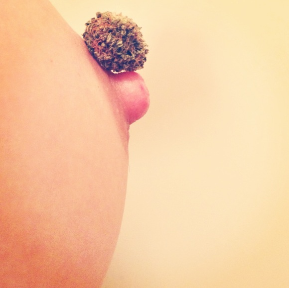 Two of my favorite thing's,hehe...Tasty Little Nip's and Tasty Little Nugs!  \m/-_-\m/