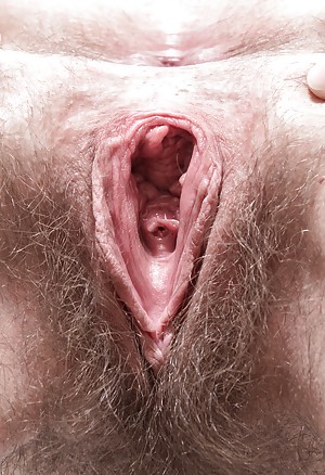 Close Up
