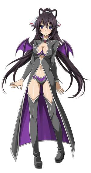 shinonono houki (infinite stratos)