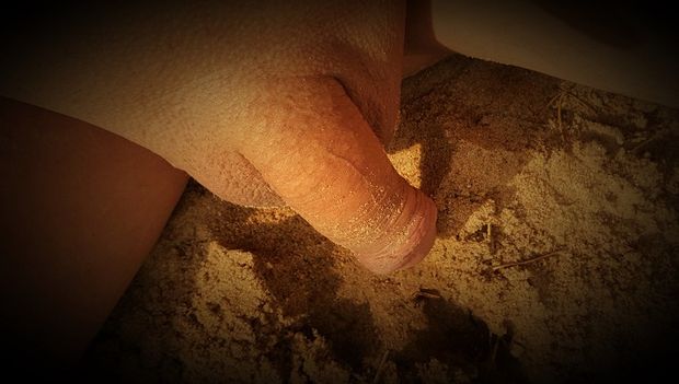 sandy dick