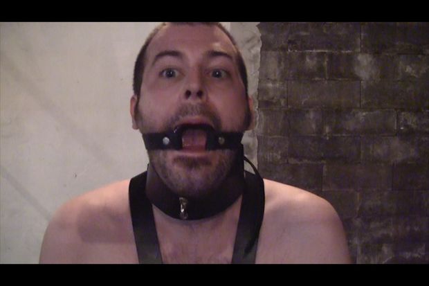 Pig with ballgag