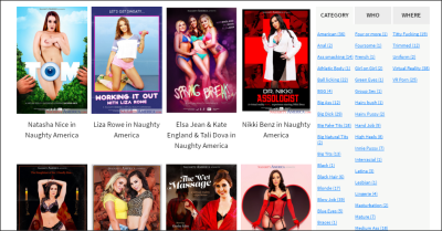 New site  Naughty America VR