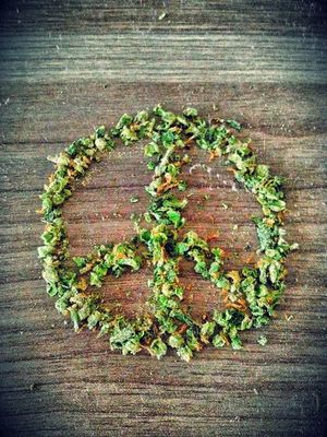 Peace And Pussy, People !!!