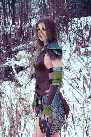 Skyrim, Aela the Huntress by AmazingRogue