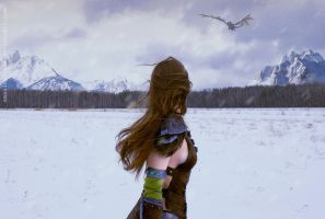 Skyrim, Aela the Huntress by AmazingRogue