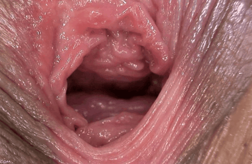 Pulsating Pussy Closeup