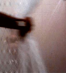 Beverly D'Angelo -11/51 -5'2''- 34-26-36''- 34C-Bra - 6.5-Shoe, MILF Cunnilingus! - Yum! Yum!