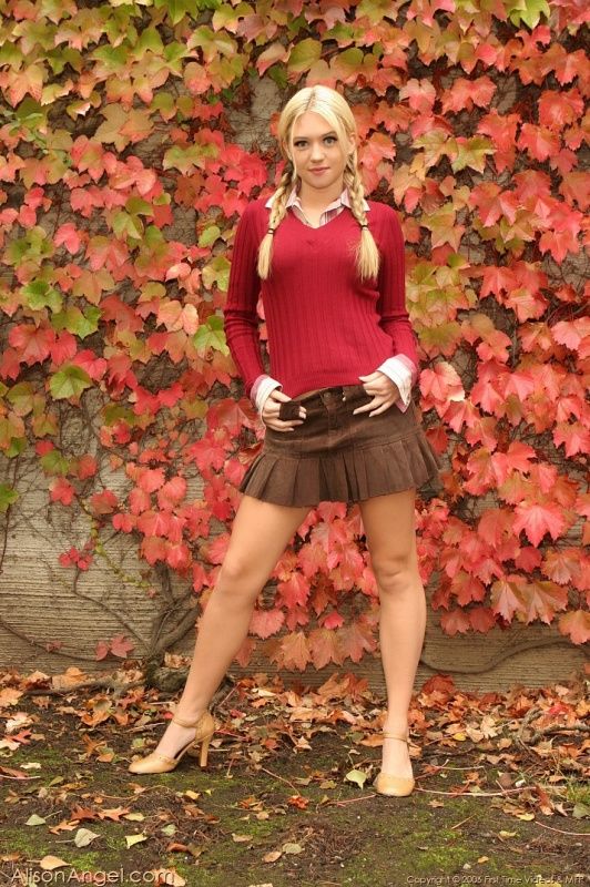 alison angel