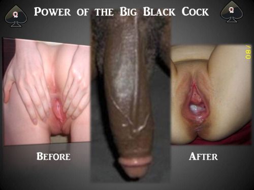 scottishgirls:

bnwo-black-bred:

*** HAIL TO THE BLACK NEW...