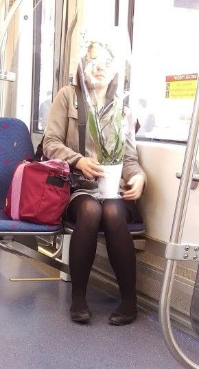 Young lady wearing pantyhose and ballet flats on the train