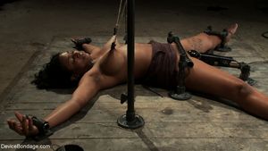 Tit Weights, Nipple Clamps, Vibrator