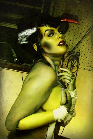 Art Of Women - Bride Of Frankenstein - Pinup