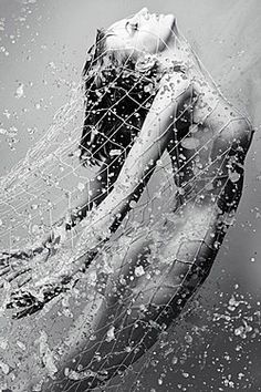 Very artistic snap.