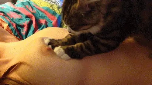 Reddit's two favorite things [17072016]
