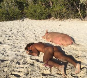 nudist and pig sleeping on the beach