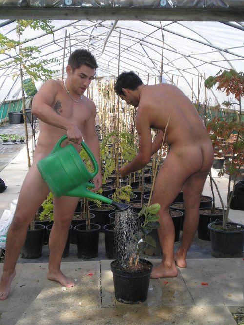 #jardiniers nus dans une serre