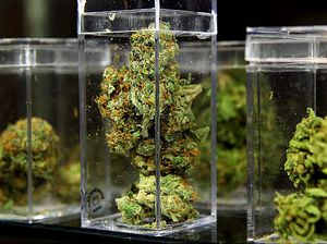 Pick A Nug,Pick A Toy :)~ !!!