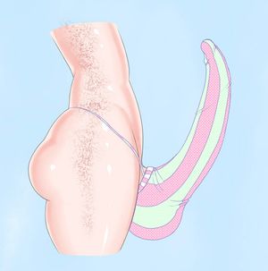 Cock Sock Sunday Erection