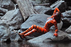 Mt. Baldy CA May 14, 2013 SM Image of Bengal Tiger Shawna taken at the SM Mt. Baldy Shoot.