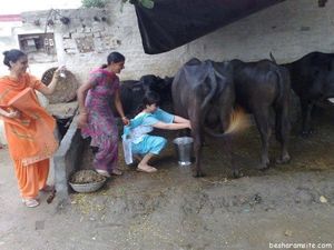 Punjabi housewives naughty things