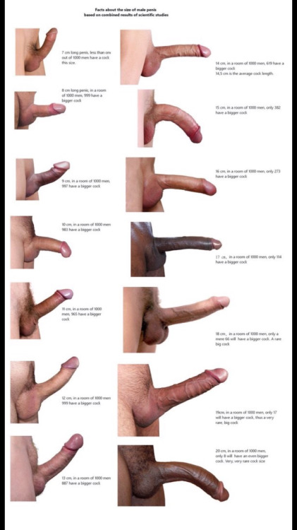 So where do you fit in, guys. Ladies ....you could always trade up.