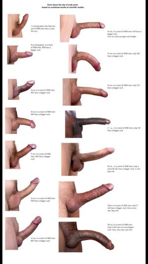 So where do you fit in, guys. Ladies ....you could always trade up.