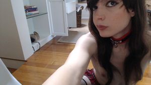 Slave willow, all ready to be bred :3