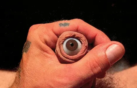 penis